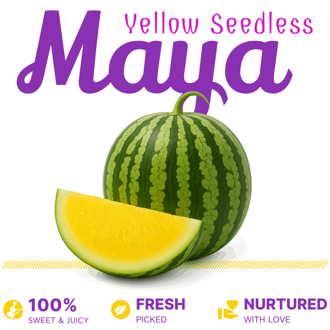 Maya Yellow Seedless